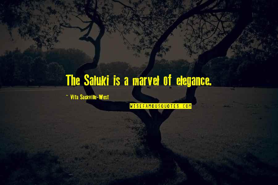 Witty Sponsorship Quotes By Vita Sackville-West: The Saluki is a marvel of elegance. Witty Sponsorship Quotes By Vita Sackville-West: The Saluki is a marvel of elegance.