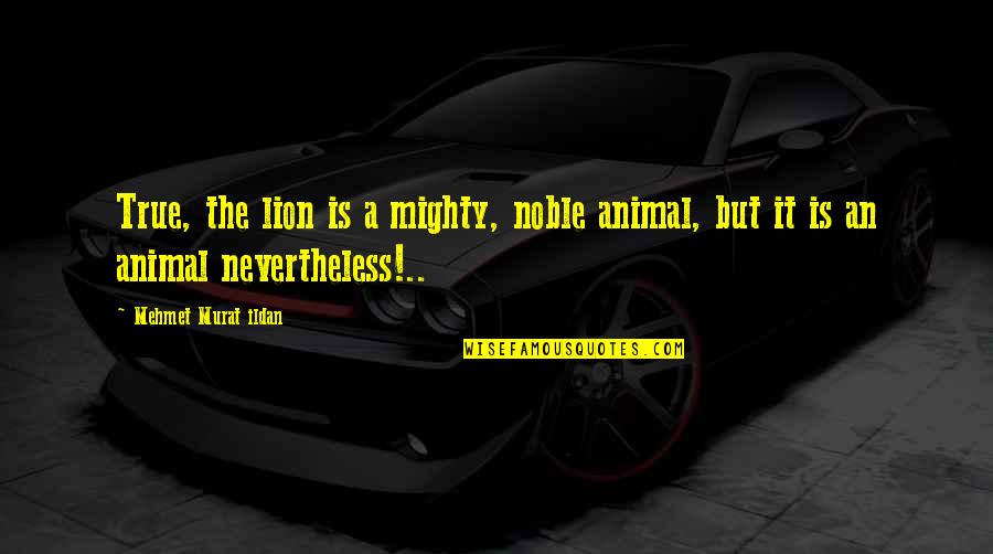 Wixson Honey Quotes By Mehmet Murat Ildan: True, the lion is a mighty, noble animal, Wixson Honey Quotes By Mehmet Murat Ildan: True, the lion is a mighty, noble animal,