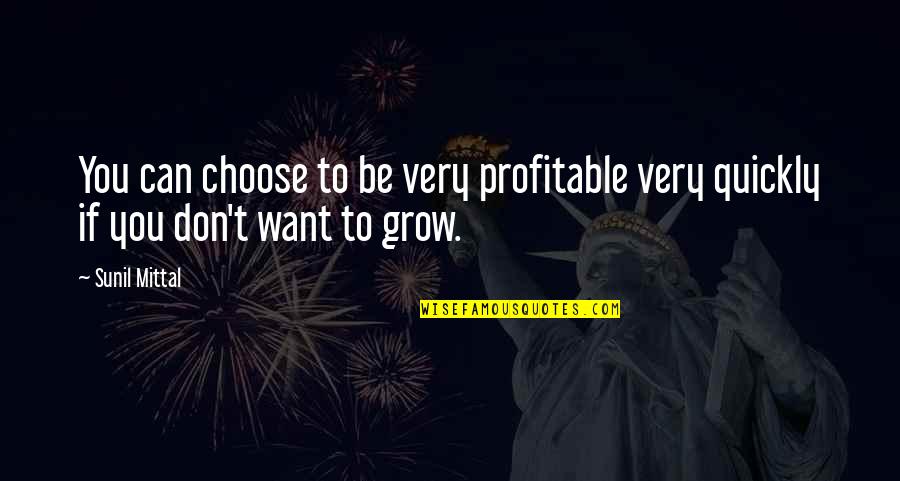 Wizard Oz Munchkin Quotes By Sunil Mittal: You can choose to be very profitable very