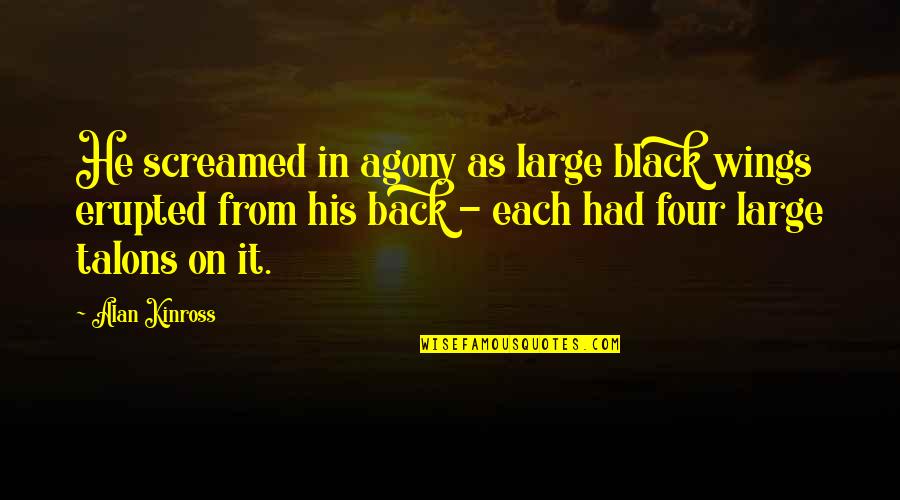 Wizards 1977 Movie Quotes By Alan Kinross: He screamed in agony as large black wings