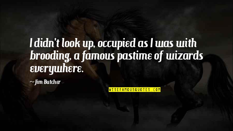 Wizards Quotes By Jim Butcher: I didn't look up, occupied as I was