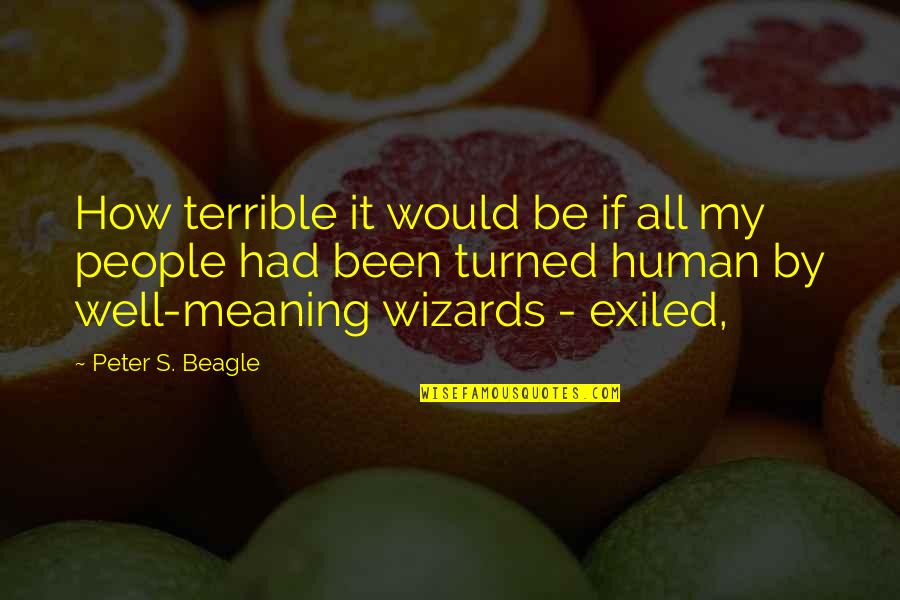 Wizards Quotes By Peter S. Beagle: How terrible it would be if all my