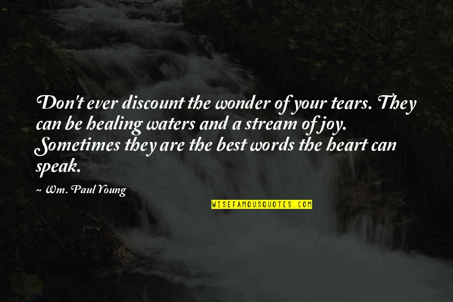 Wm Quotes By Wm. Paul Young: Don't ever discount the wonder of your tears. Wm Quotes By Wm. Paul Young: Don't ever discount the wonder of your tears.