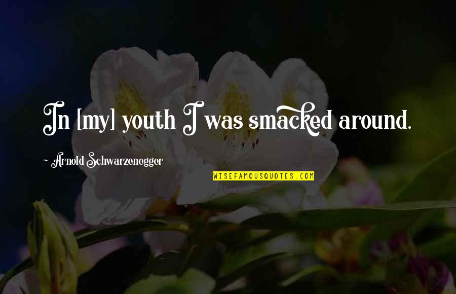 Wmcat Quotes By Arnold Schwarzenegger: In [my] youth I was smacked around.