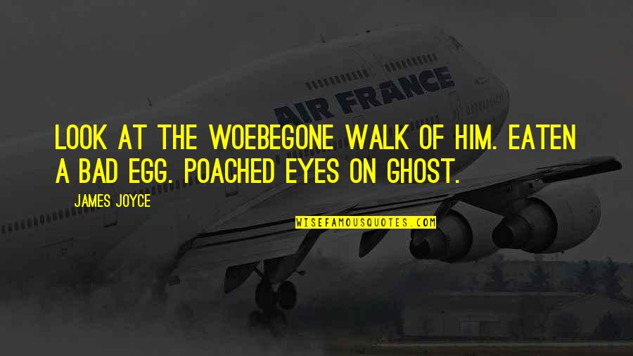 Woebegone Look Quotes By James Joyce: Look at the woebegone walk of him. Eaten