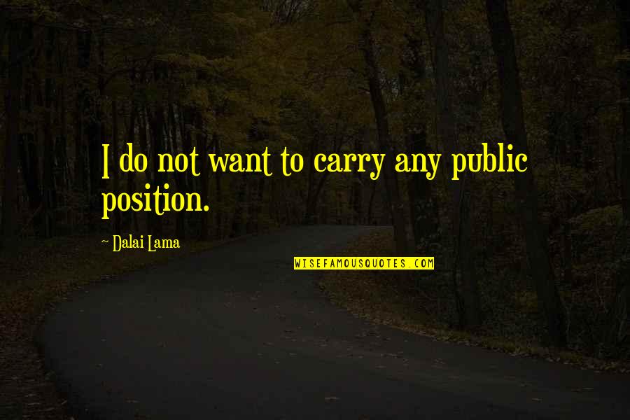Woefully Quotes By Dalai Lama: I do not want to carry any public