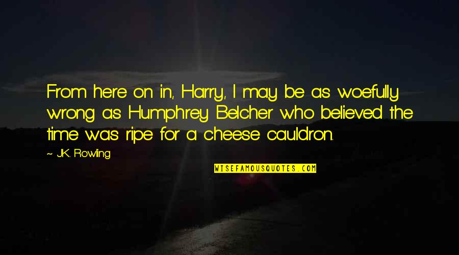 Woefully Quotes By J.K. Rowling: From here on in, Harry, I may be