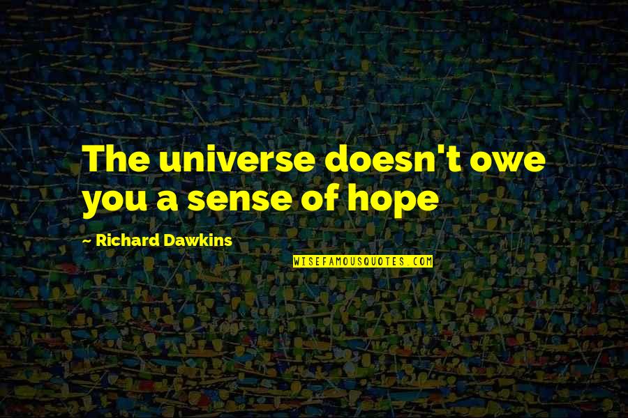Woessner Associates Quotes By Richard Dawkins: The universe doesn't owe you a sense of Woessner Associates Quotes By Richard Dawkins: The universe doesn't owe you a sense of