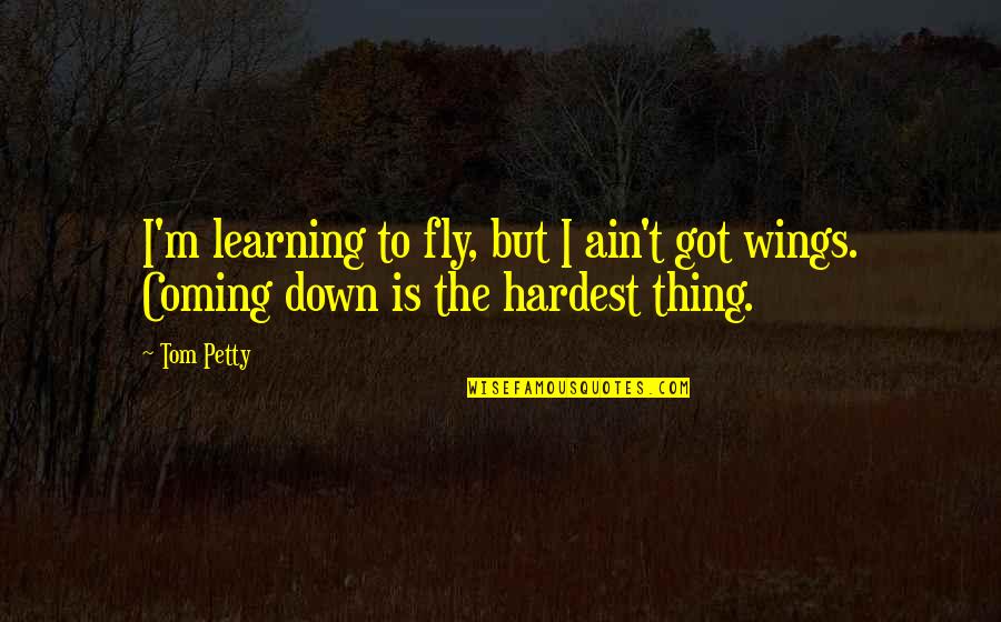 Woestijn Wereld Quotes By Tom Petty: I'm learning to fly, but I ain't got