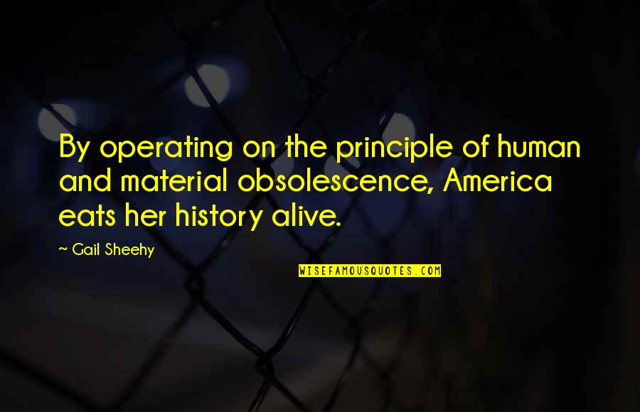 Wohlfeils Saginaw Quotes By Gail Sheehy: By operating on the principle of human and Wohlfeils Saginaw Quotes By Gail Sheehy: By operating on the principle of human and