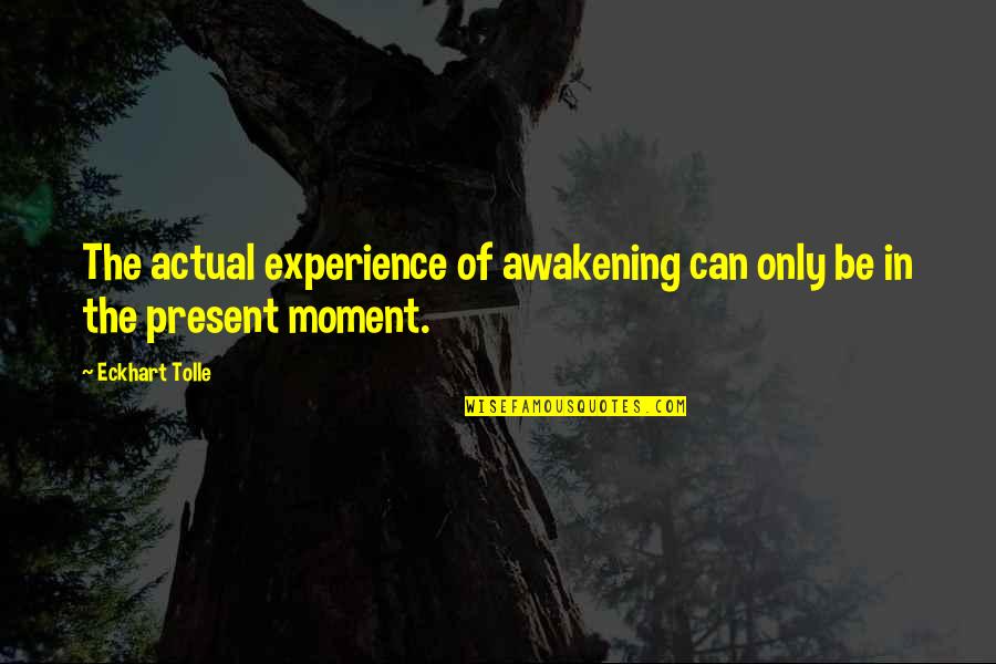 Wohlleben Coat Quotes By Eckhart Tolle: The actual experience of awakening can only be