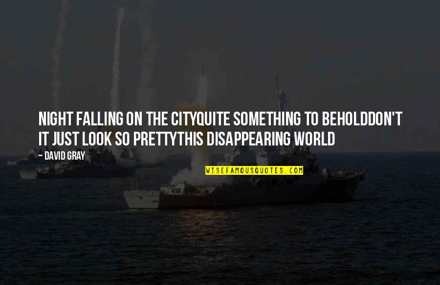 Wohlstandsindikatoren Quotes By David Gray: Night falling on the cityQuite something to beholdDon't Wohlstandsindikatoren Quotes By David Gray: Night falling on the cityQuite something to beholdDon't