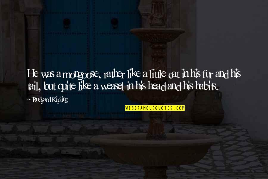 Wohnsitz Vom Quotes By Rudyard Kipling: He was a mongoose, rather like a little Wohnsitz Vom Quotes By Rudyard Kipling: He was a mongoose, rather like a little