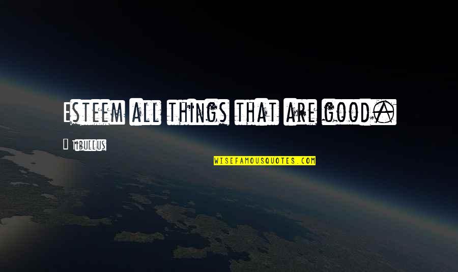 Wohnungen Schweiz Quotes By Tibullus: Esteem all things that are good.