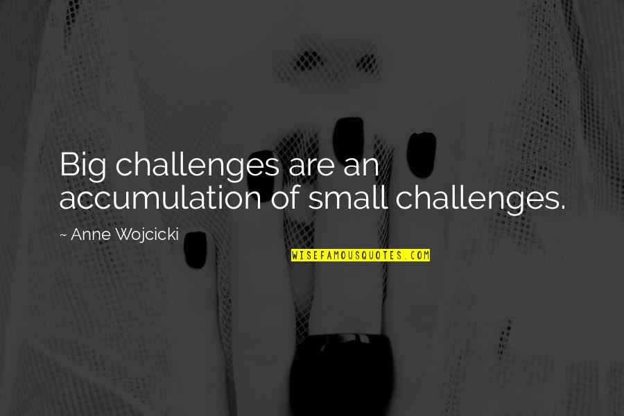 Wojcicki Quotes By Anne Wojcicki: Big challenges are an accumulation of small challenges.