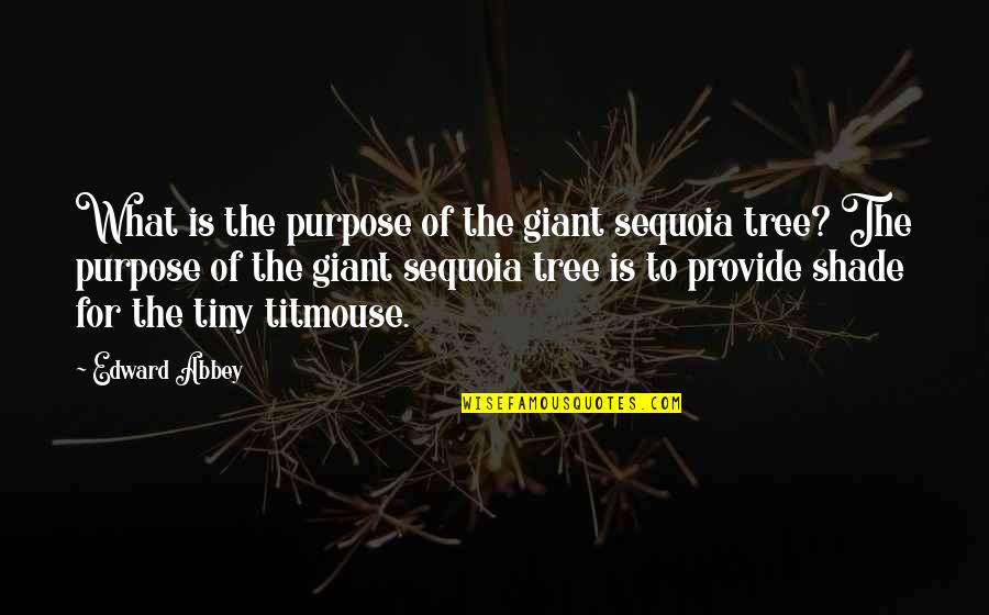 Wokman Teleoks Quotes By Edward Abbey: What is the purpose of the giant sequoia Wokman Teleoks Quotes By Edward Abbey: What is the purpose of the giant sequoia