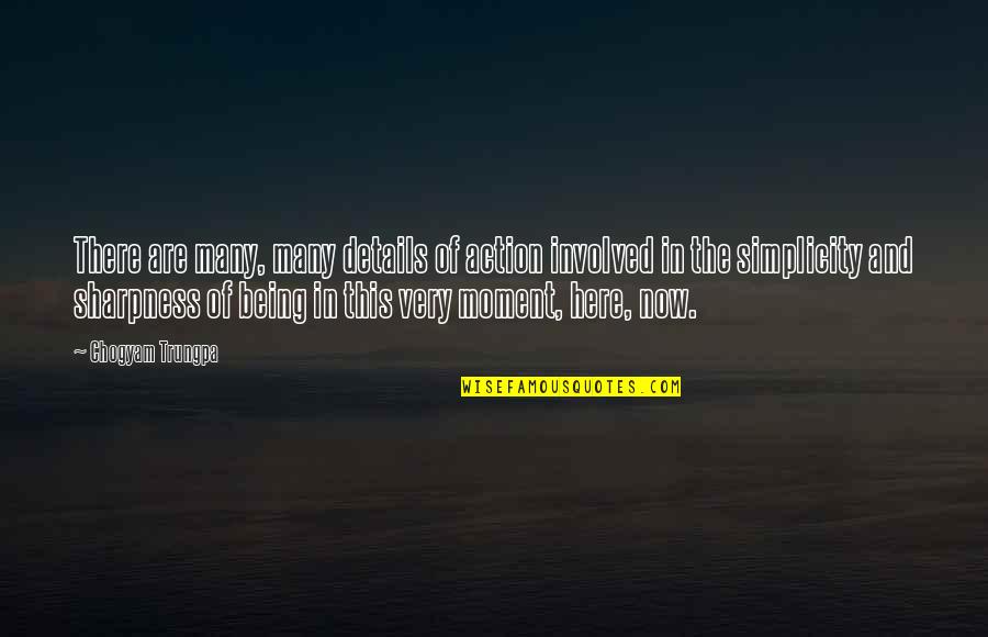 Woland And His Cat Quotes By Chogyam Trungpa: There are many, many details of action involved Woland And His Cat Quotes By Chogyam Trungpa: There are many, many details of action involved