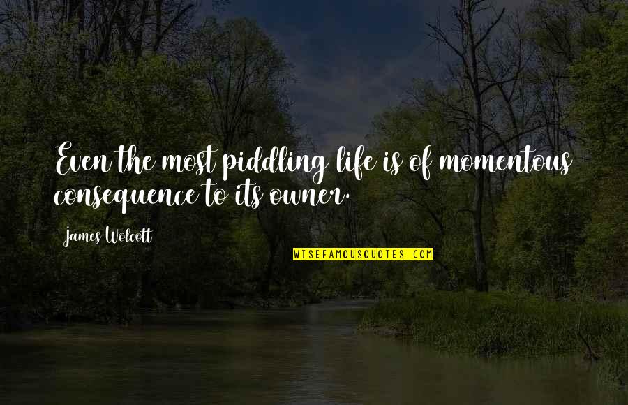 Wolcott's Quotes By James Wolcott: Even the most piddling life is of momentous