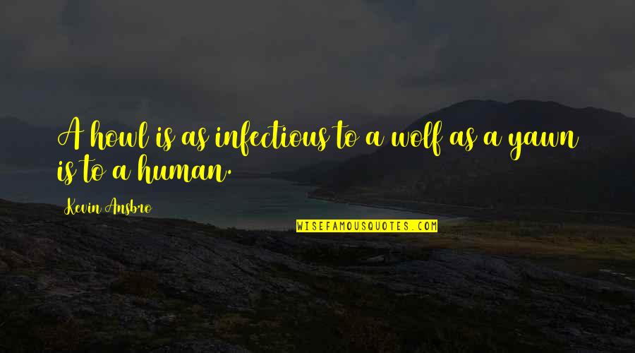 Wolf And Human Quotes By Kevin Ansbro: A howl is as infectious to a wolf