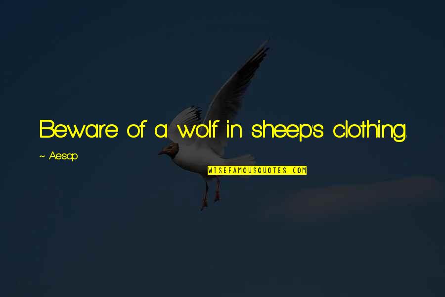 Wolf And Sheep Quotes By Aesop: Beware of a wolf in sheep's clothing.