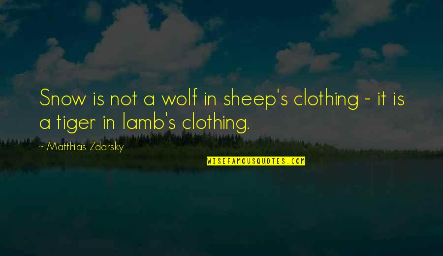 Wolf And Tiger Quotes By Matthias Zdarsky: Snow is not a wolf in sheep's clothing