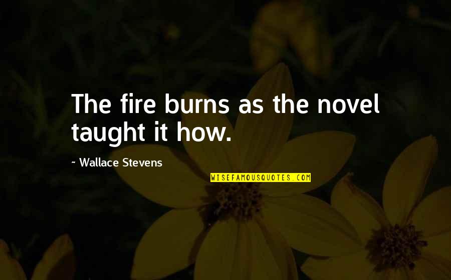 Wolf Creek 2 Funny Quotes By Wallace Stevens: The fire burns as the novel taught it
