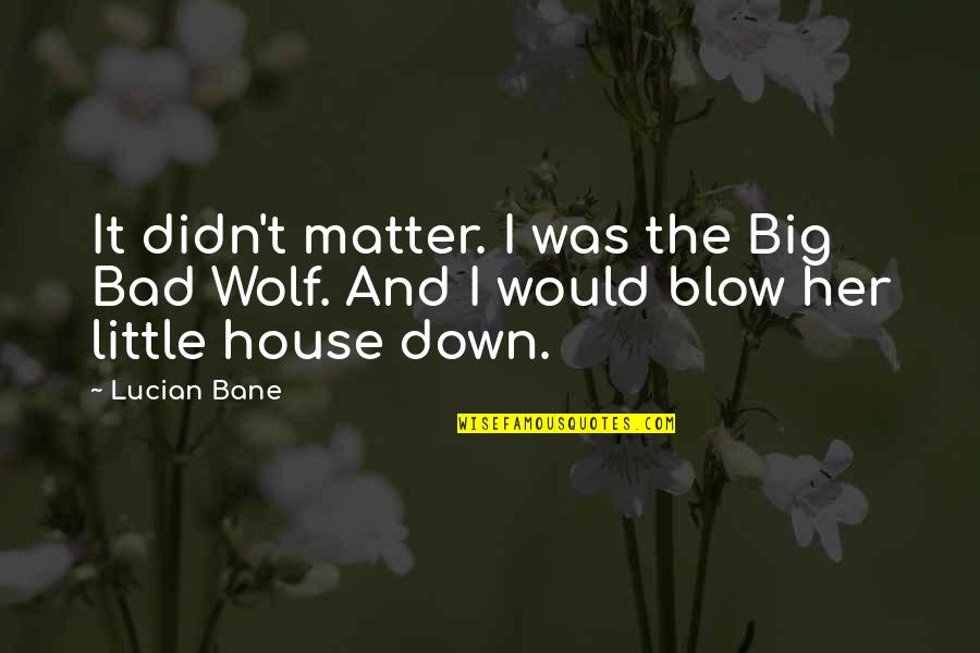 Wolf It Down Quotes By Lucian Bane: It didn't matter. I was the Big Bad