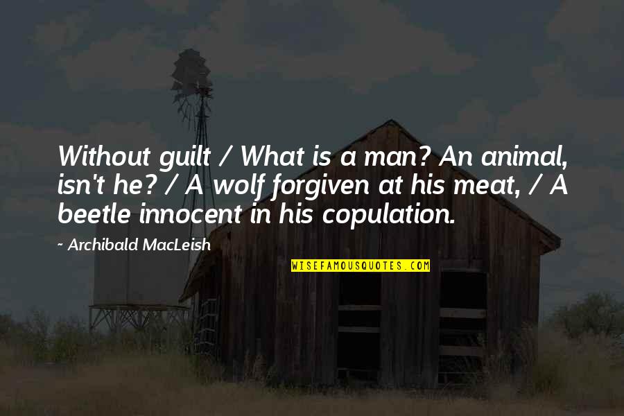 Wolf Man Quotes By Archibald MacLeish: Without guilt / What is a man? An