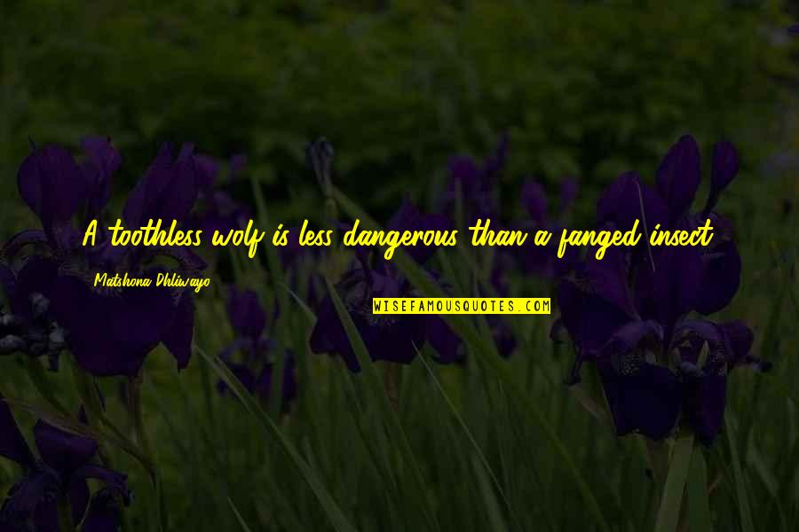 Wolf Quotes And Quotes By Matshona Dhliwayo: A toothless wolf is less dangerous than a