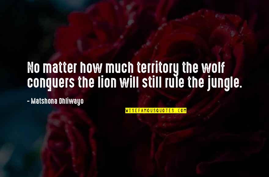 Wolf Vs Lion Quotes By Matshona Dhliwayo: No matter how much territory the wolf conquers