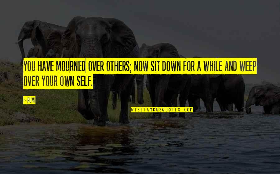 Wolferts Quotes By Rumi: You have mourned over others; now sit down