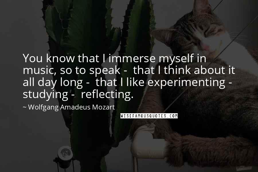 Wolfgang Amadeus Mozart quotes: You know that I immerse myself in music, so to speak - that I think about it all day long - that I like experimenting - studying - reflecting.