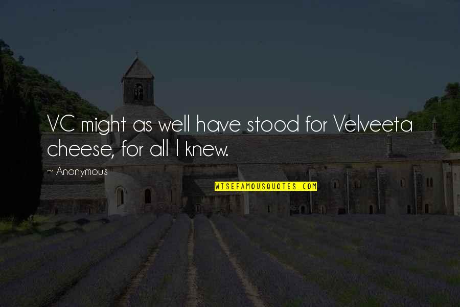 Wolfgang Langewiesche Quotes By Anonymous: VC might as well have stood for Velveeta