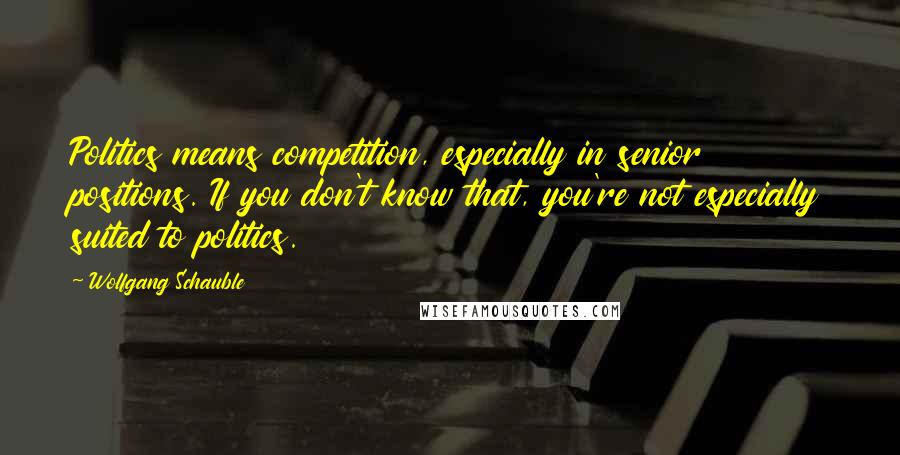 Wolfgang Schauble quotes: Politics means competition, especially in senior positions. If you don't know that, you're not especially suited to politics.