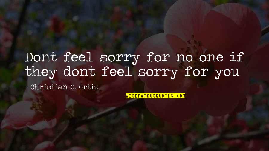 Wolfowitz Scandal Quotes By Christian O. Ortiz: Dont feel sorry for no one if they Wolfowitz Scandal Quotes By Christian O. Ortiz: Dont feel sorry for no one if they