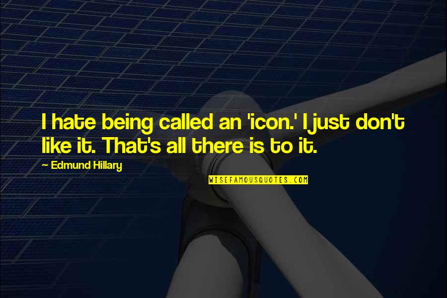 Wolfson Dac Quotes By Edmund Hillary: I hate being called an 'icon.' I just