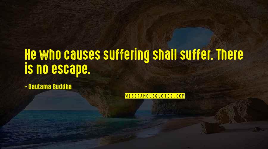 Woliner Paul Quotes By Gautama Buddha: He who causes suffering shall suffer. There is Woliner Paul Quotes By Gautama Buddha: He who causes suffering shall suffer. There is