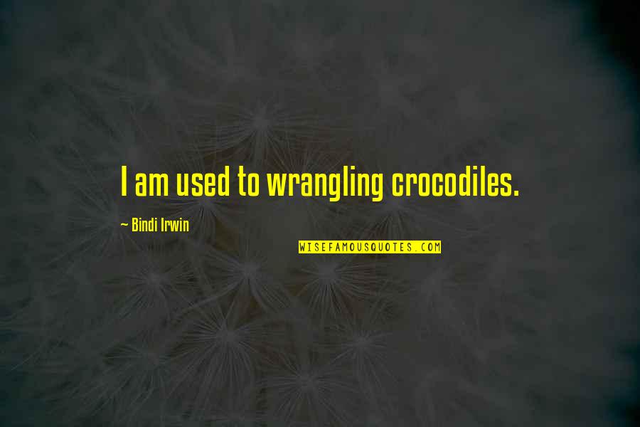 Wolking Out Quotes By Bindi Irwin: I am used to wrangling crocodiles.
