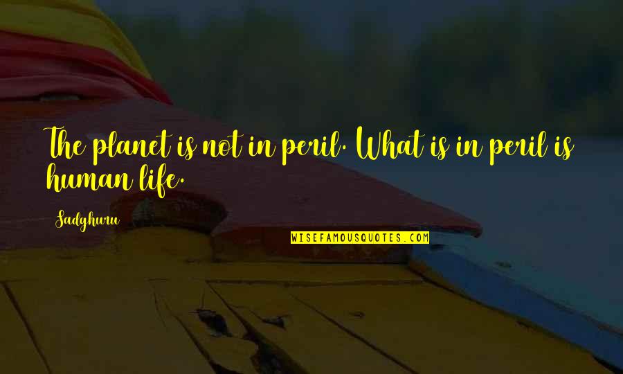 Wollam Ag Quotes By Sadghuru: The planet is not in peril. What is