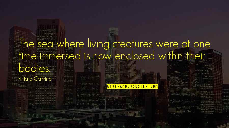 Wollenweber Silver Quotes By Italo Calvino: The sea where living creatures were at one