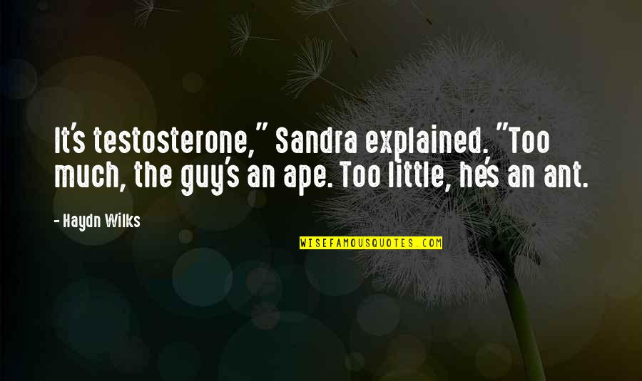 Wollenwebers Quotes By Haydn Wilks: It's testosterone," Sandra explained. "Too much, the guy's
