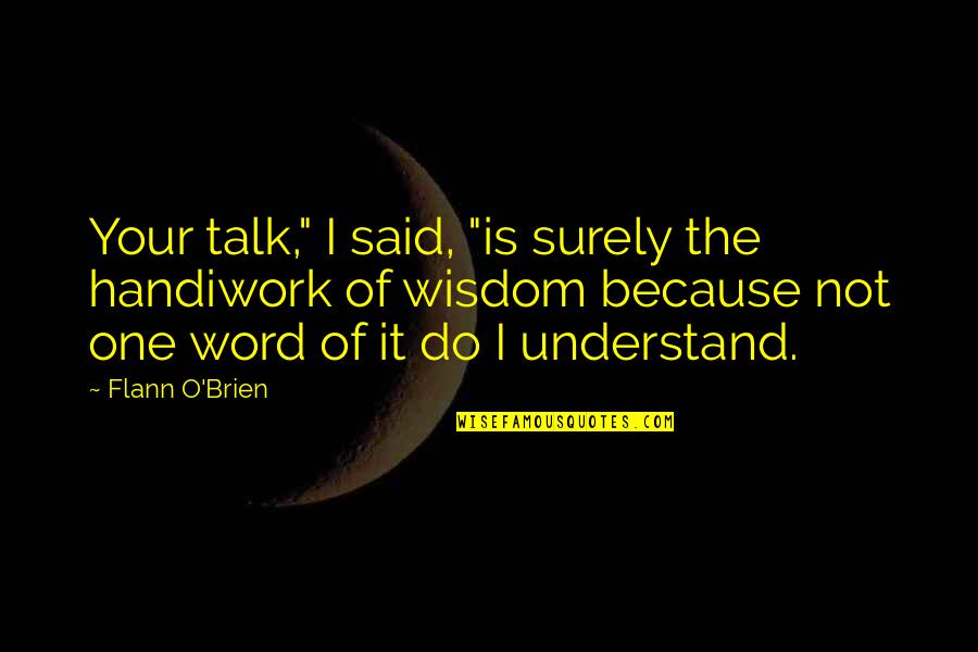 Wollerman Show Quotes By Flann O'Brien: Your talk," I said, "is surely the handiwork