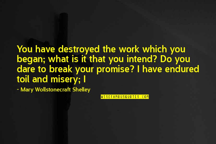 Wollstonecraft 1 Quotes By Mary Wollstonecraft Shelley: You have destroyed the work which you began; Wollstonecraft 1 Quotes By Mary Wollstonecraft Shelley: You have destroyed the work which you began;