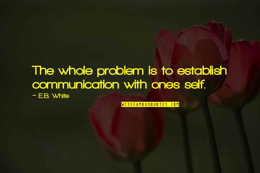 Wolschlager Chiro Quotes By E.B. White: The whole problem is to establish communication with