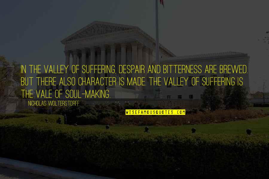 Wolterstorff Quotes By Nicholas Wolterstorff: In the valley of suffering, despair and bitterness