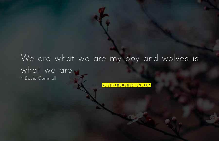 Wolves And Quotes By David Gemmell: We are what we are my boy and