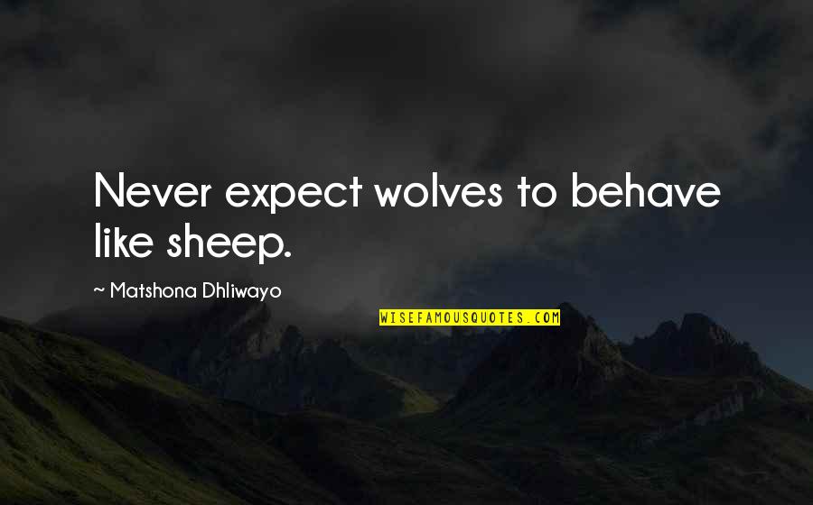 Wolves And Sheep Quotes By Matshona Dhliwayo: Never expect wolves to behave like sheep.