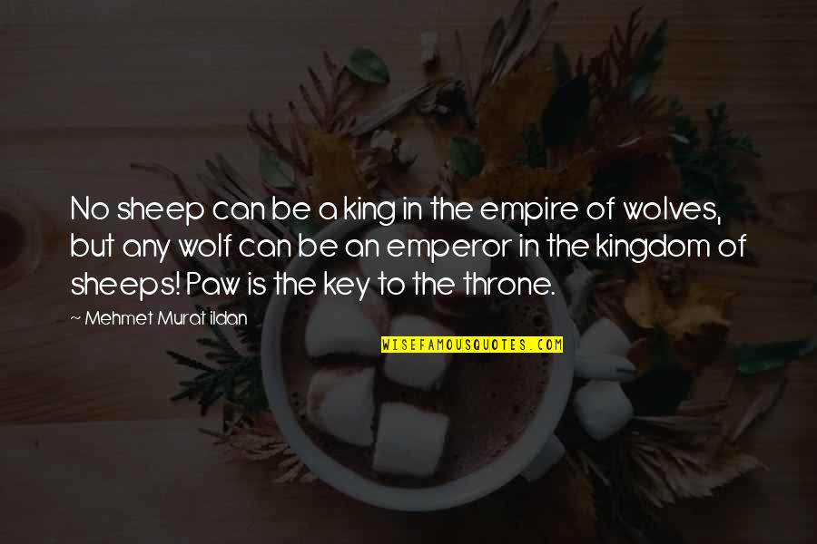 Wolves And Sheep Quotes By Mehmet Murat Ildan: No sheep can be a king in the