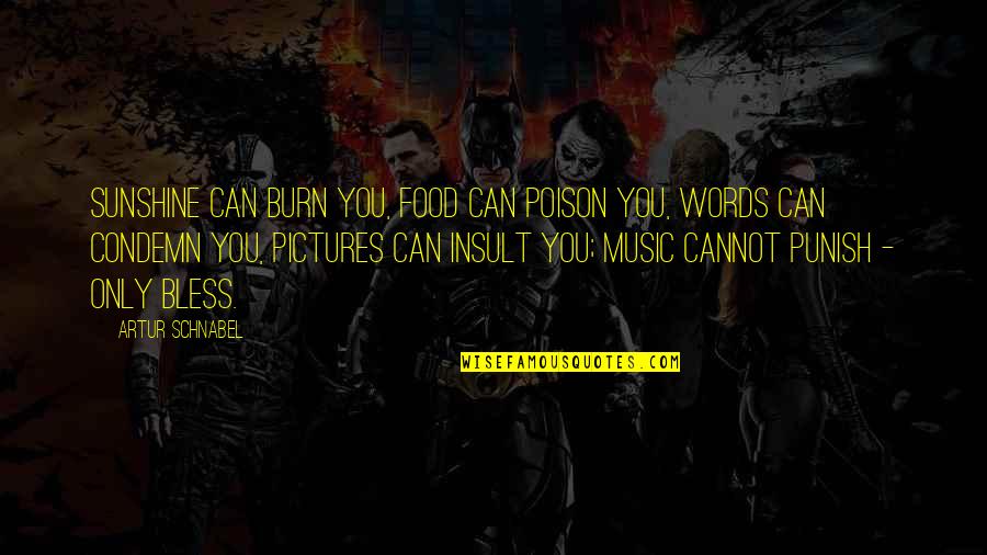 Wolves Goodreads Quotes By Artur Schnabel: Sunshine can burn you, food can poison you,