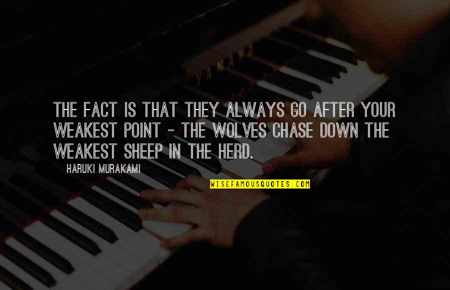 Wolves Quotes By Haruki Murakami: The fact is that they always go after Wolves Quotes By Haruki Murakami: The fact is that they always go after